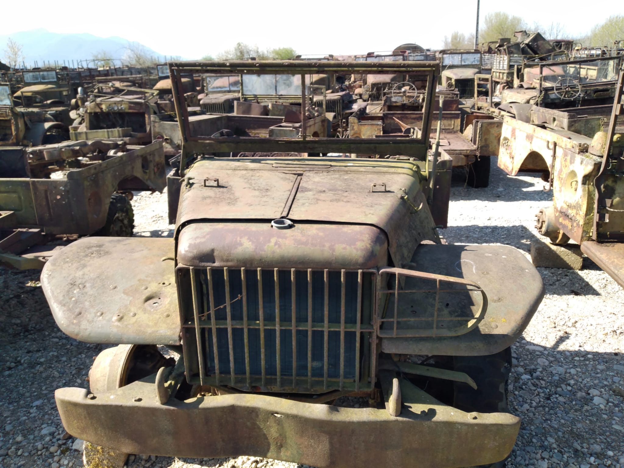 DODGE WC 51